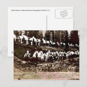 Fallen Monarch - Carte postale (Devant / Derrière)