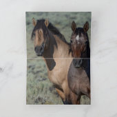 Fallen Star et sa carte de voeux pour Cheval sauva (Intérieur)