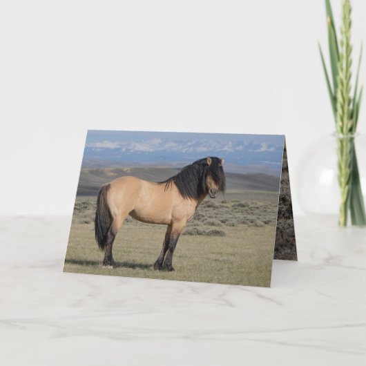 "Fallen Star in Front of the Wind River Mountains" (Voorkant)