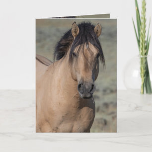 Fallen Star's Portrait Wild Horse Wenskaarten Bedankkaart