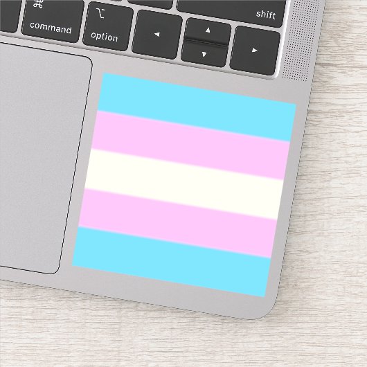 Fallen Trans Pride Flag Sticker (Detail)