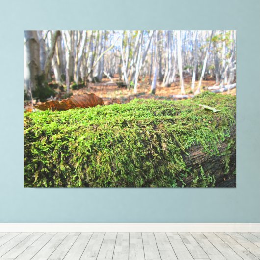 Fallen Tree in Autumn Moss - Canvas Afdruk (Insitu (Houten vloer))
