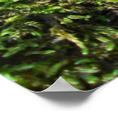 Fallen Tree in Autumn Moss  - Personalised Poster (Hoek)