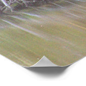 Fallen Tree Reflections Foto Poster (Hoek)