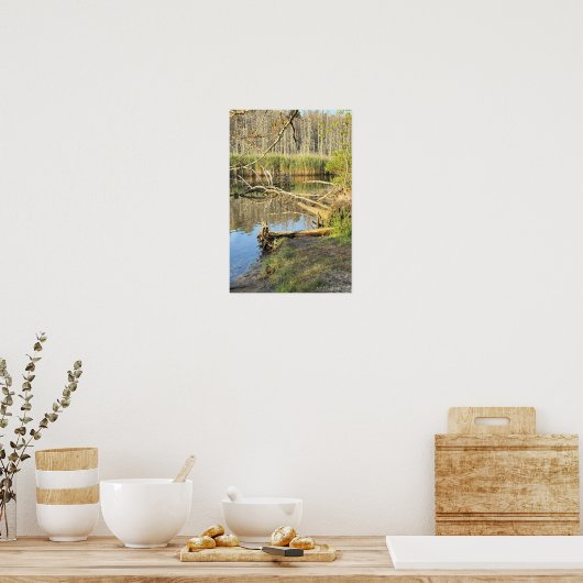 Fallen Trees Waterscape Poster (Keuken)