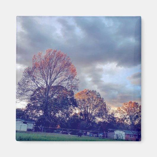 Fallin verliefd magneet (Voorkant)