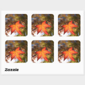 Falling Leaf from a tree in autumn Vierkante Sticker (Vel)