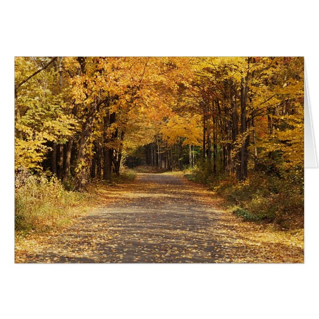 Falling Leaves (Voorkant Horizontaal)