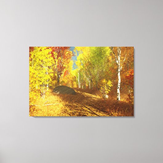 Falling Light Canvas Print (Voorkant)