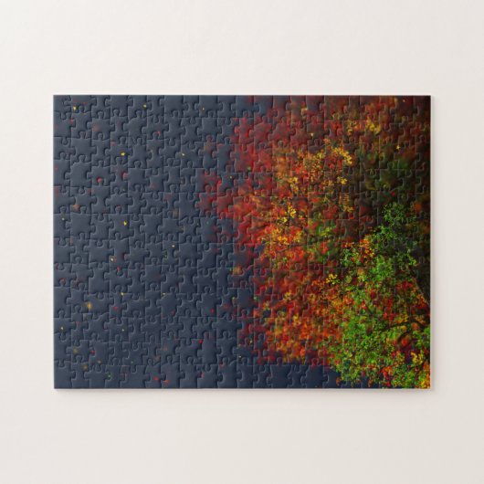 Falling Rainbow Puzzle Legpuzzel (Horizontaal)