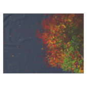 Falling Rainbow Tablecloth Tafelkleed (Voorkant (Horizontaal))