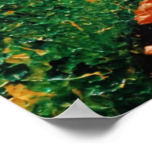 "Falling Stars" Poster (Hoek)