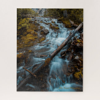 Falling Water, 520-stukpuzzel Legpuzzel