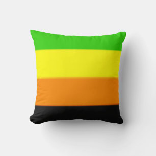 Fallln Aromantic Pride Flag Kussen