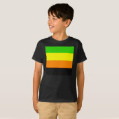 Fallln Aromantic Pride Flag T-shirt (Voorkant volledig)