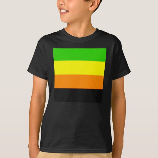 Fallln Aromantic Pride Flag T-shirt (Voorkant)