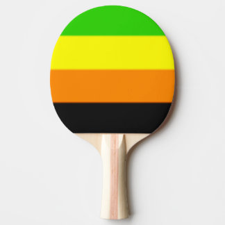 Fallln Aromantic Pride Flag Tafeltennisbatje
