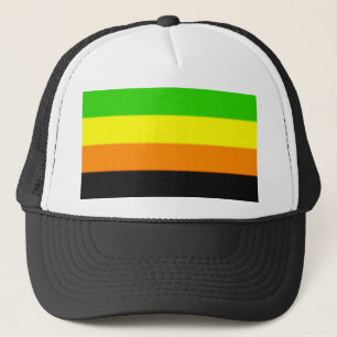 Fallln Aromantic Pride Flag Trucker Pet