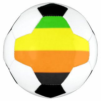 Fallln Aromantic Pride Flag Voetbal