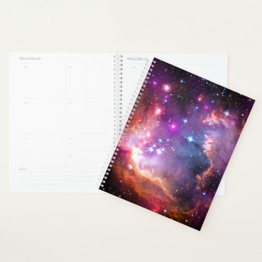 Falln Angelic Galaxy Planner (Display)