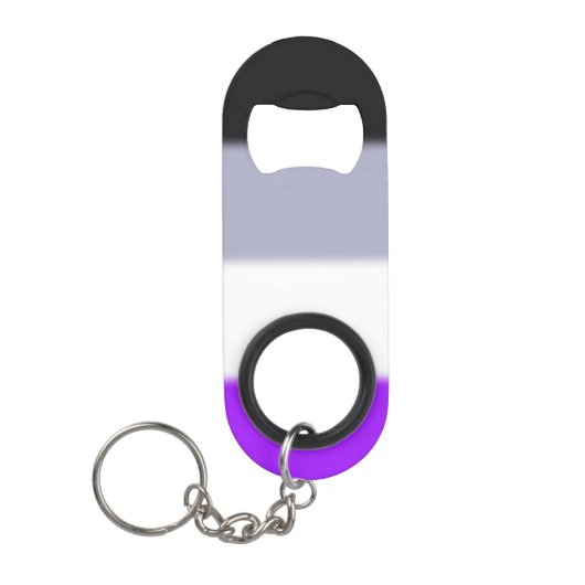 Falln Asexual Pride Flag Mini Flessenopener (Voorkant)