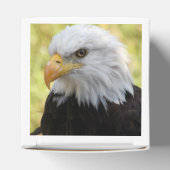 Falln Bald Eagle Liberty Bedankdoosjes (Bovenkant)