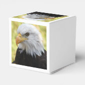 Falln Bald Eagle Liberty Bedankdoosjes (Achterkant)