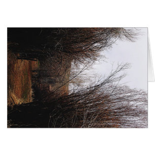 Falln Bannack Overgrowth