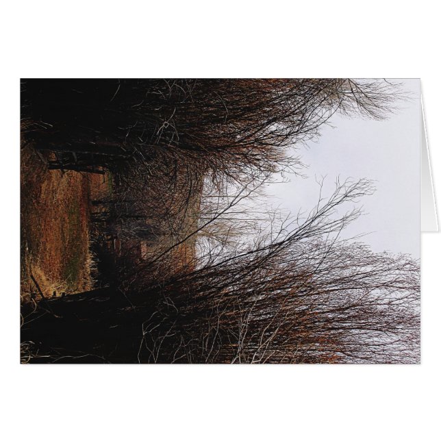 Falln Bannack Overgrowth (Voorkant Horizontaal)
