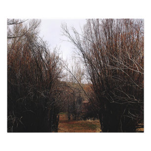 Falln Bannack Overgrowth Foto Afdruk
