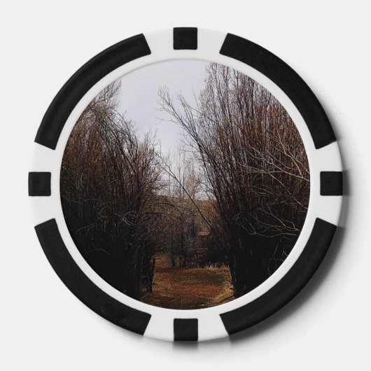 Falln Bannack Overgrowth Poker Chips (Voorkant)