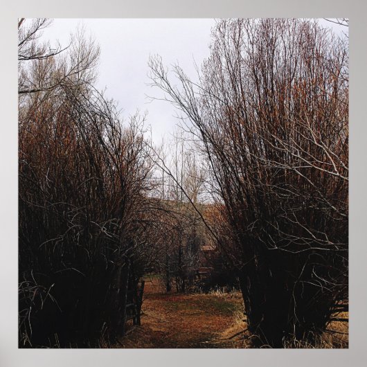 Falln Bannack Overgrowth Poster (Voorkant)