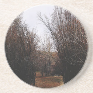 Falln Bannack Overgrowth Zandsteen Onderzetter
