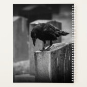 Falln Cemetery Crow (Dos)