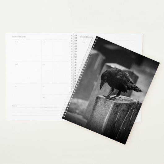 Falln Cemetery Crow (Devant avec enveloppe)