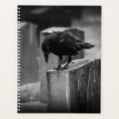 Falln Cemetery Crow (Devant)