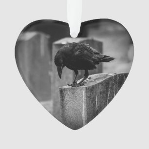 Falln Cemetery Crow
