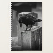 Falln Cemetery Crow (Devant)