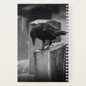 Falln Cemetery Crow (Dos)