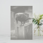Falln Cemetery Crow Briefpapier (Staand voorkant)