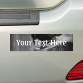 Falln Cemetery Crow Bumpersticker (Op auto)