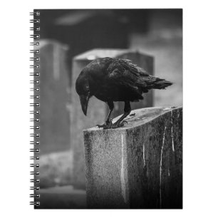 Falln Cemetery Crow Notitieboek