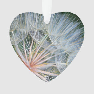 Falln de nouveaux voeux