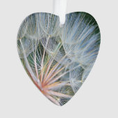 Falln de nouveaux voeux (devant)