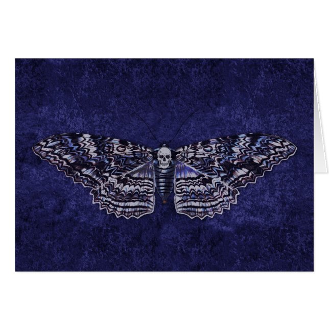 Falln Deathshead Moth (Voorkant Horizontaal)