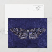 Falln Deathshead Moth Briefkaart (Voorkant / Achterkant)