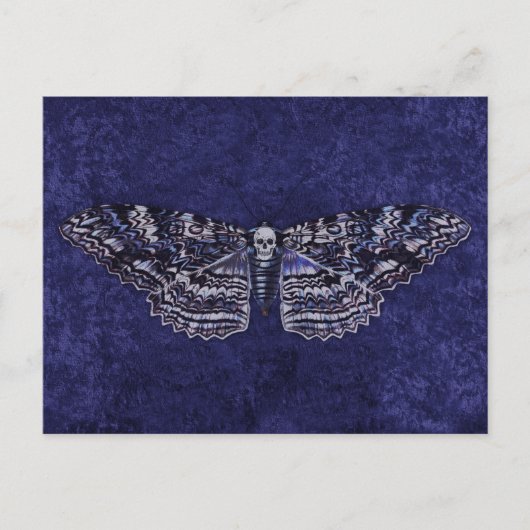 Falln Deathshead Moth Briefkaart (Voorkant)