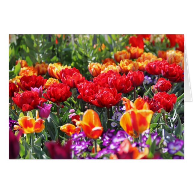 Falln Floral Crimson Waves (Voorkant Horizontaal)