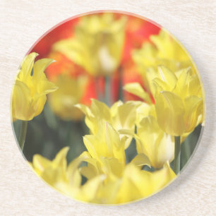 Falln Floral Summer Glow Zandsteen Onderzetter