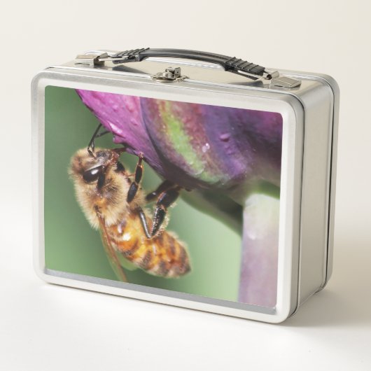 Falln Fuzzy Little Bee (Voorkant)